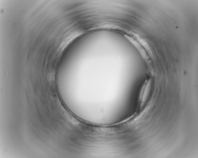 X0000088181281200706051132