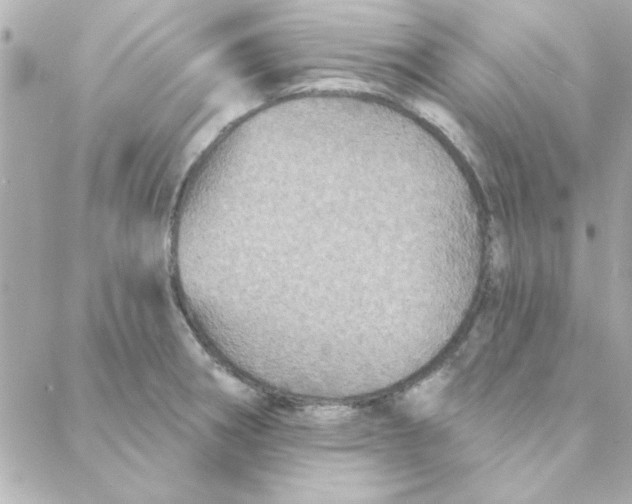 X0000088181282200706051132