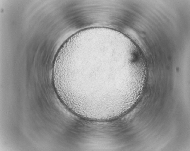 X0000088181284200706051132