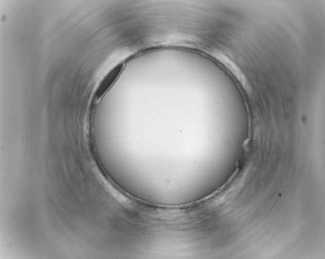 X0000088181285200706051132