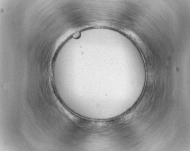 X0000088181286200706051132