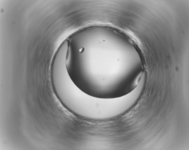 X0000088181287200706051132