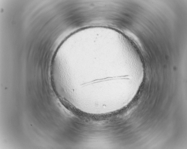 X0000088181288200706051132