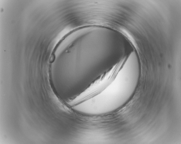 X0000088181291200706051132