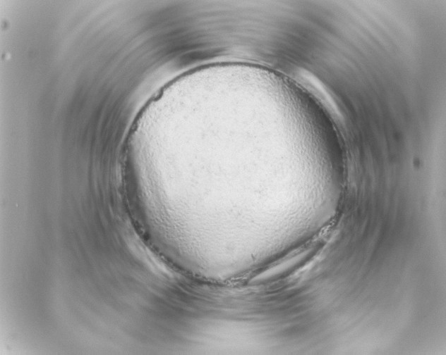 X0000088181292200706051132