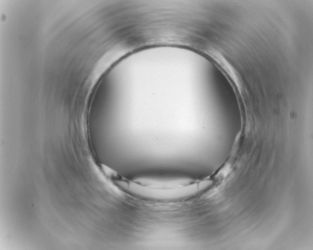 X0000088181293200706051132