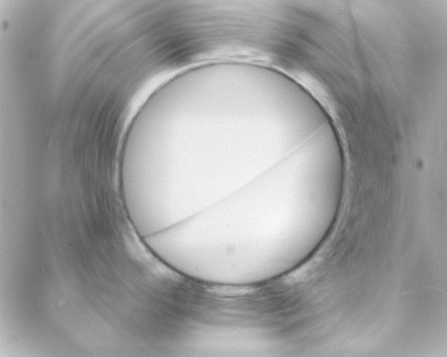 X0000088181296200706051132