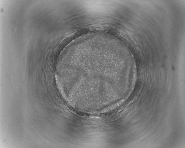 X0000088181297200706051131