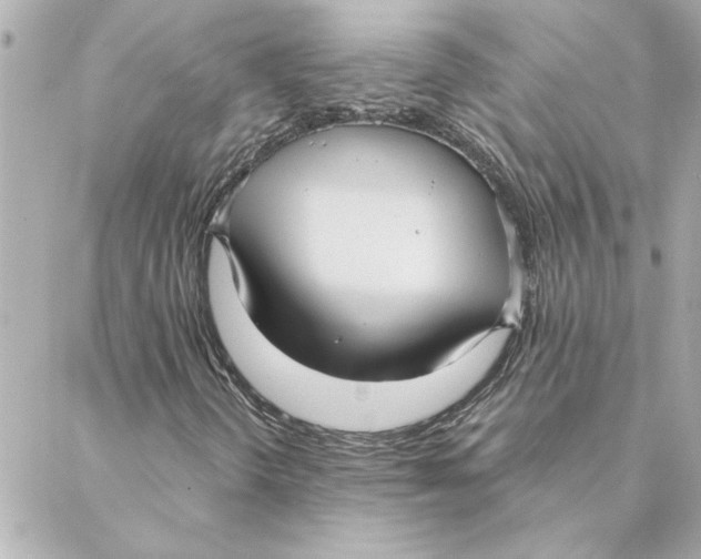 X0000088181298200706051131