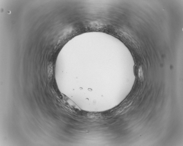 X0000088181299200706051131