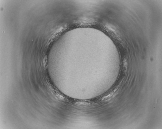 X0000088181300200706051131