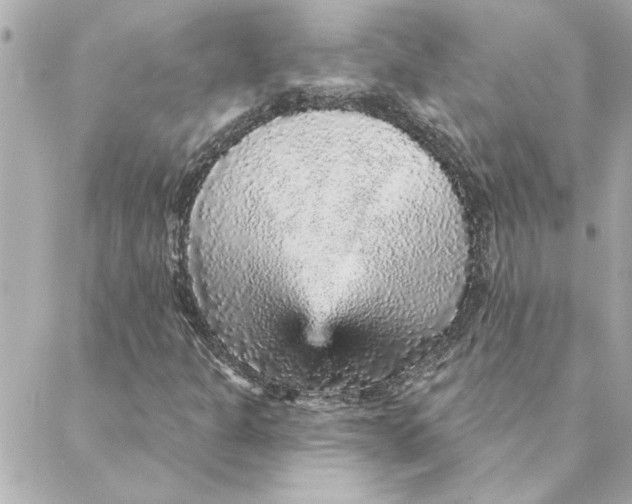 X0000088181301200706051131