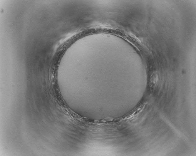 X0000088181303200706051131