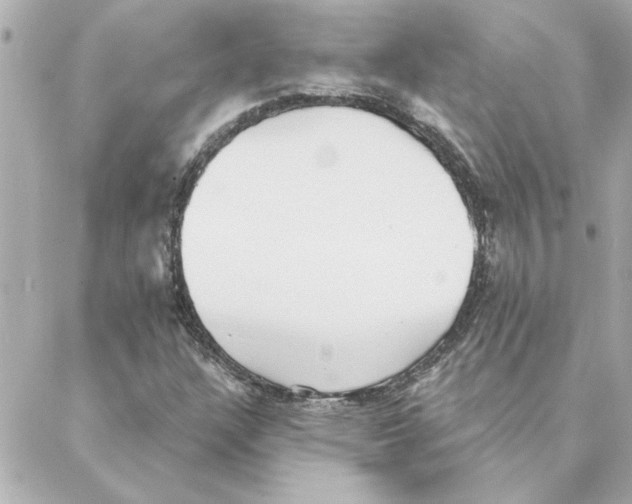 X0000088181304200706051131