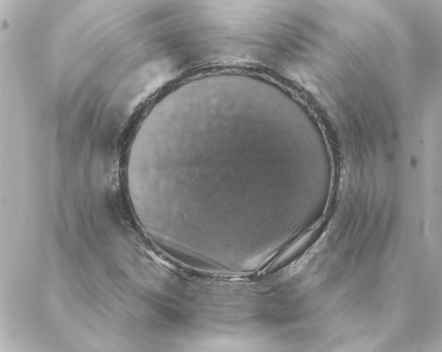 X0000088181306200706051131