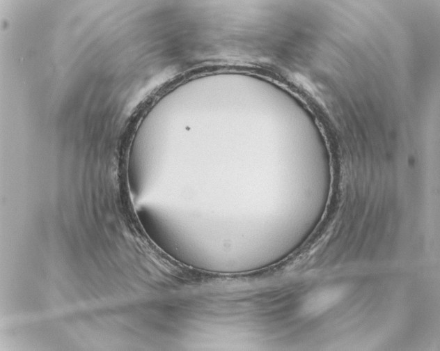 X0000088181307200706051131