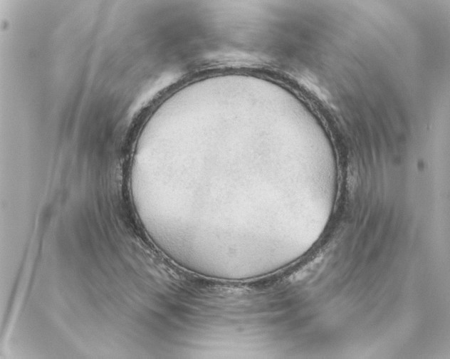 X0000088181309200706051131