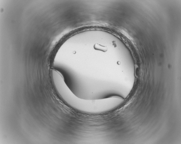 X0000088181310200706051131