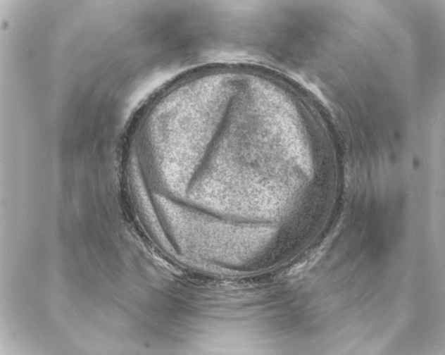 X0000088181311200706051131