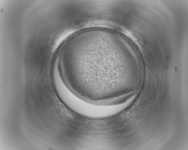 X0000088181312200706051131