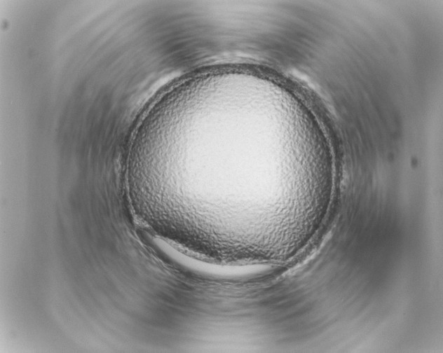 X0000088181313200706051132