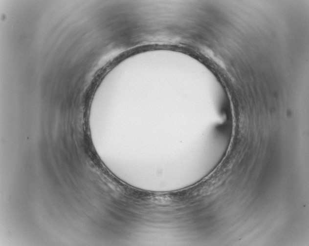 X0000088181315200706051132