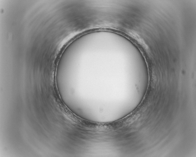 X0000088181316200706051132