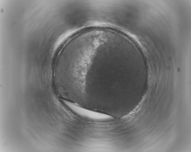 X0000088181319200706051132