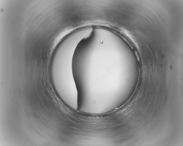 X0000088181320200706051132