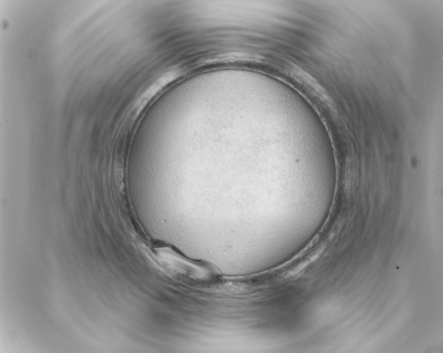 X0000088181321200706051132