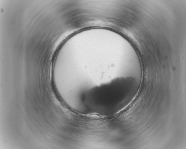 X0000088181323200706051132