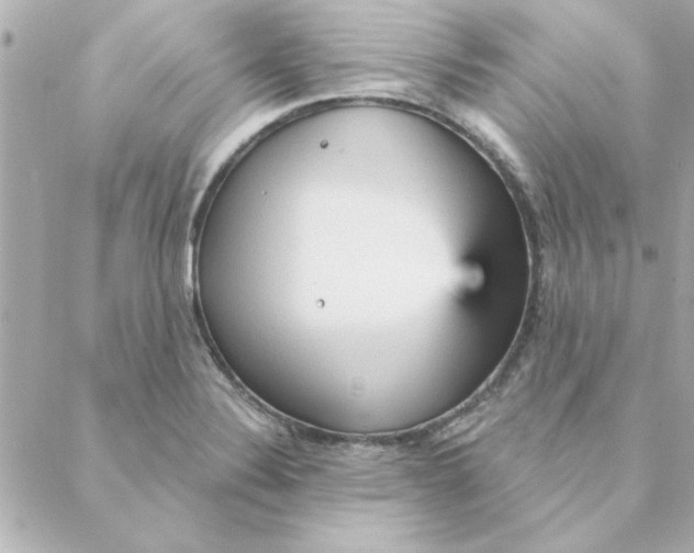 X0000088181324200706051132