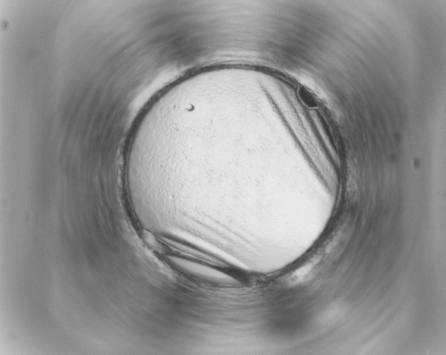 X0000088181325200706051132