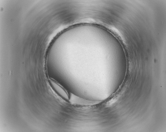 X0000088181326200706051132