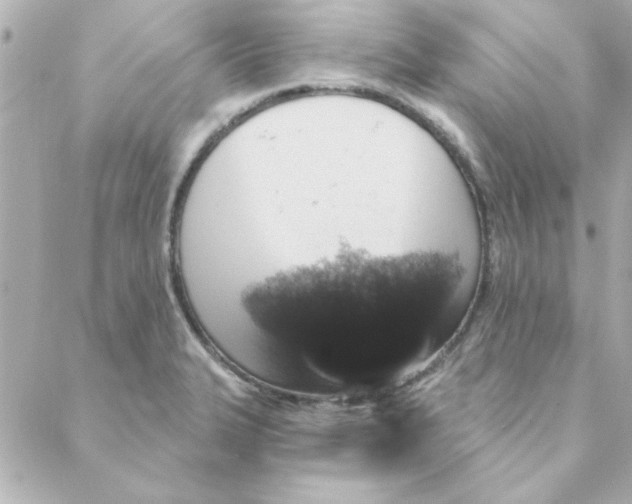 X0000088181327200706051132