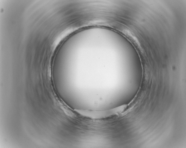 X0000088181328200706051132