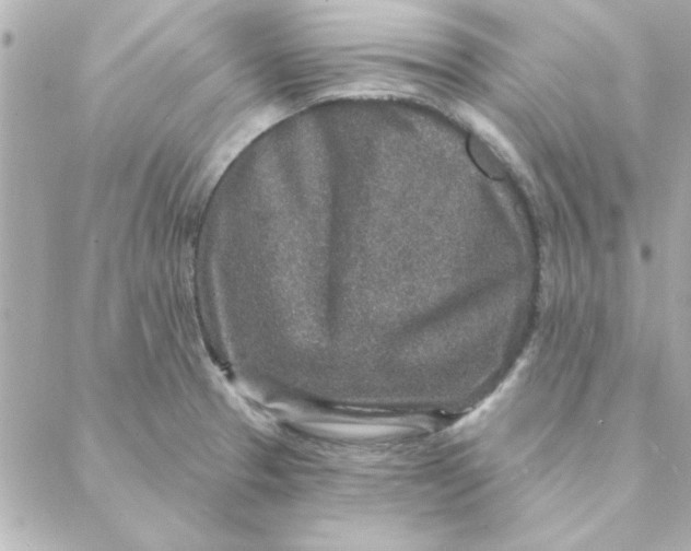 X0000088181329200706051132