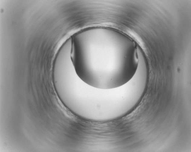 X0000088181332200706051132