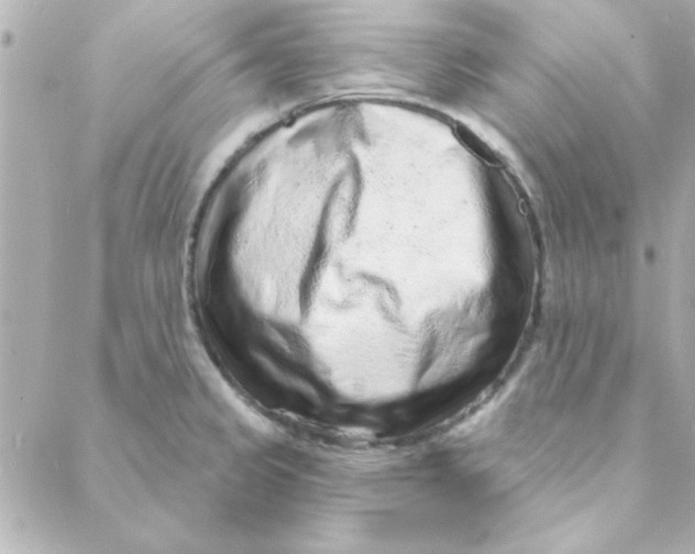 X0000088181333200706051132