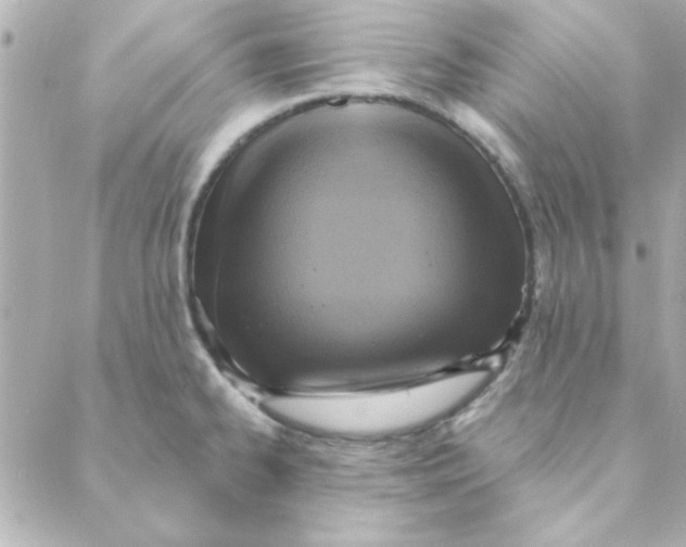 X0000088181334200706051132