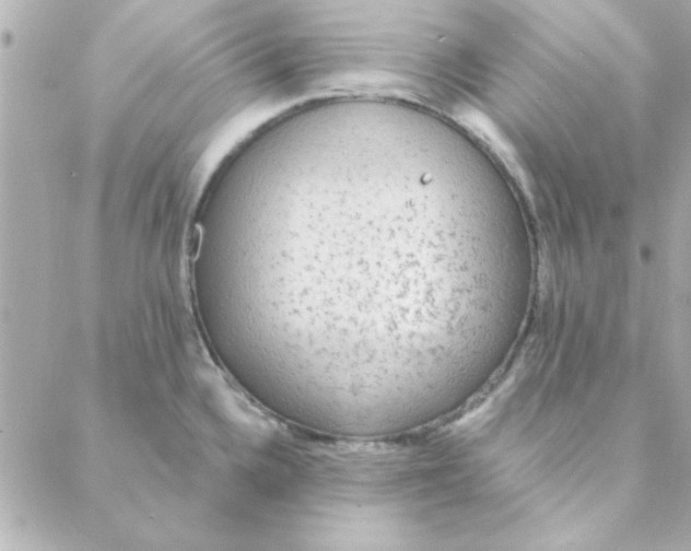 X0000088181336200706051132