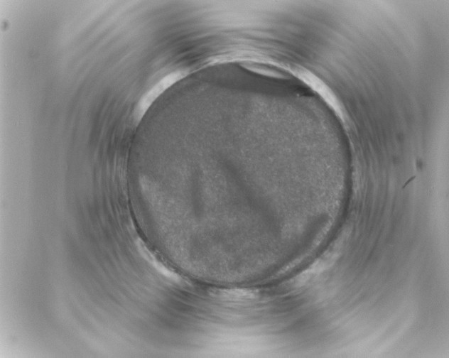 X0000088181337200706051132