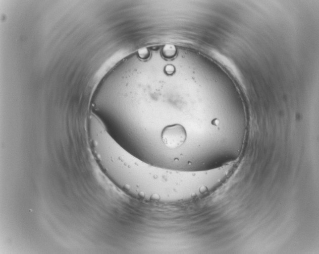 X0000088181338200706051132