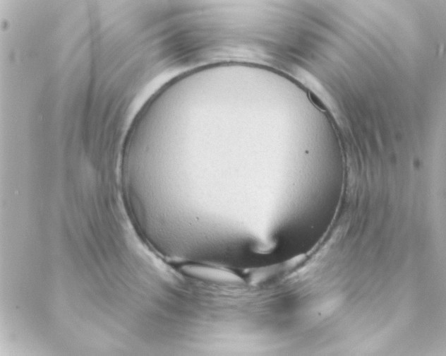 X0000088181339200706051132