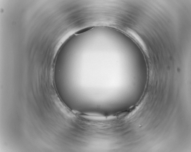 X0000088181340200706051132