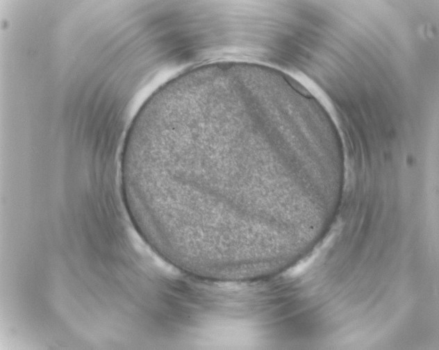 X0000088181341200706051132