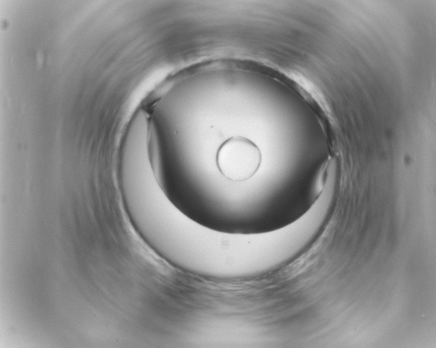 X0000088181342200706051132