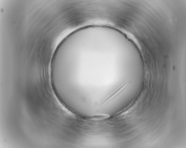 X0000088181343200706051132