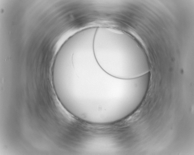 X0000088181344200706051132