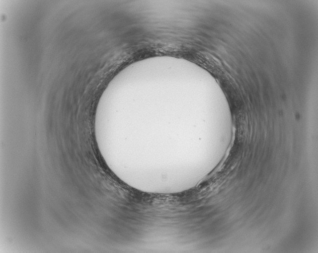 X0000088181345200706051131